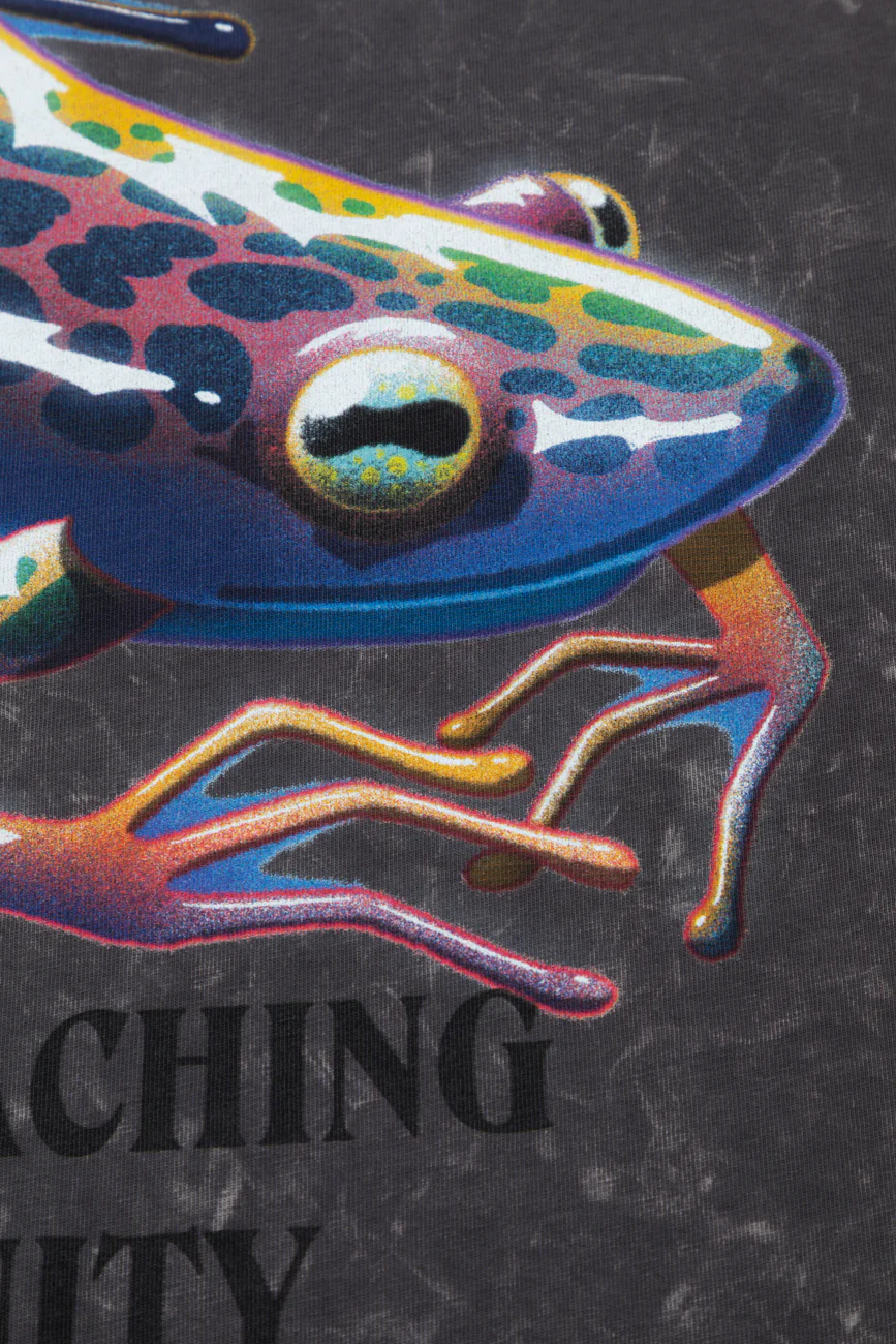 Frog_By Moebius - Image 11