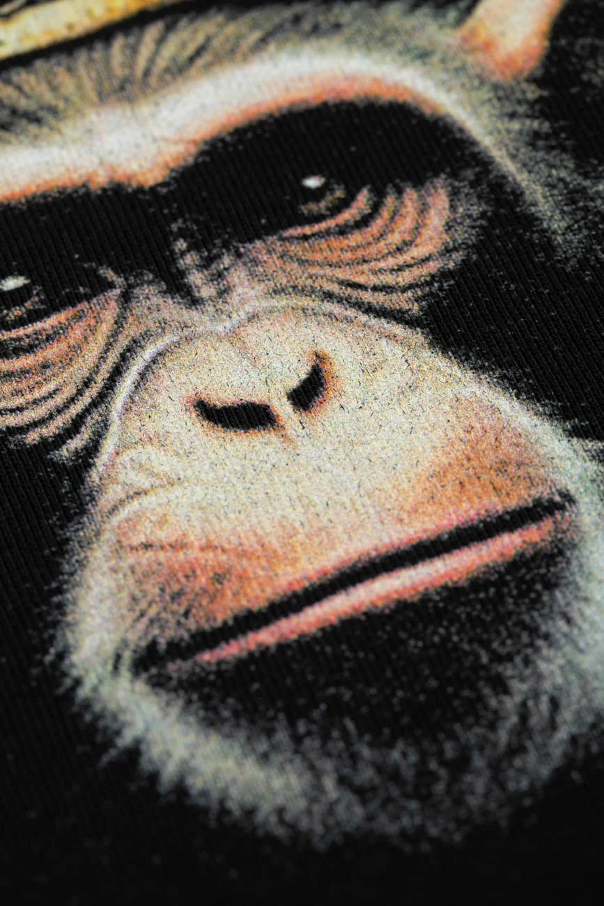 Royal Monkey - Image 5